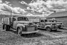 Bar U Ranch 2017-06-029-bw-net.jpg