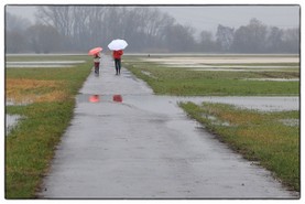 Bild 05 - walking in thr rain.JPG